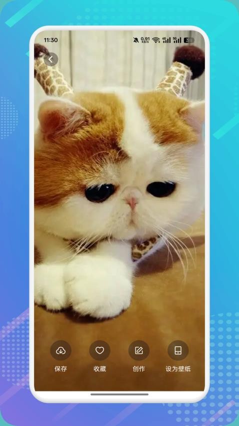 è������h2026��Ѱ�