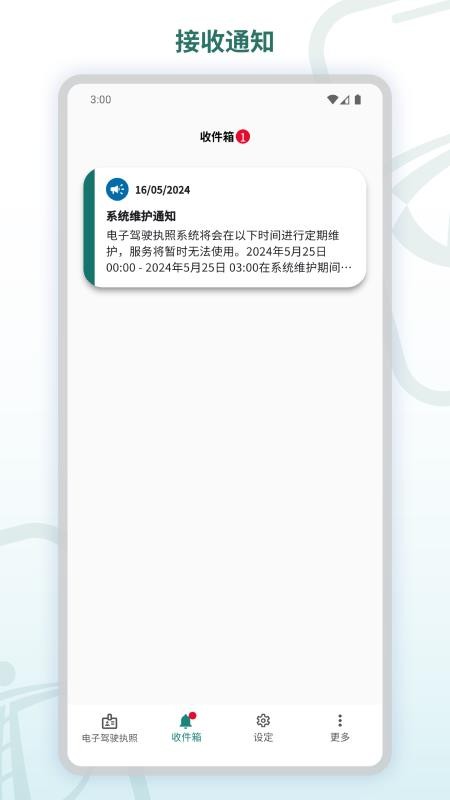 电子驾驶执照