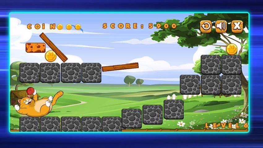 �����������뿴