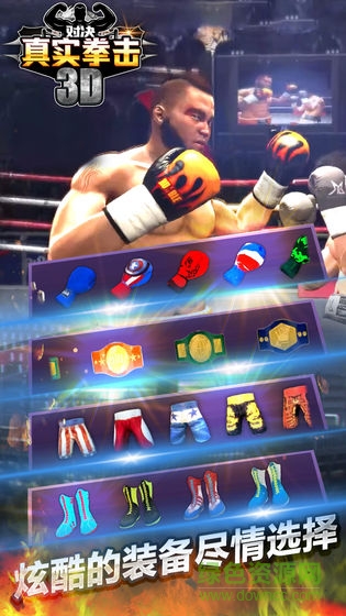 ��ʵȭ���Ծ�