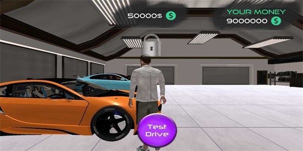 ��ʵ��ʿ��ʻģ����