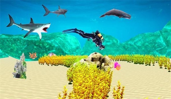 ��������3D