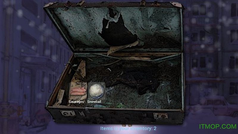 Winter Night Adventure