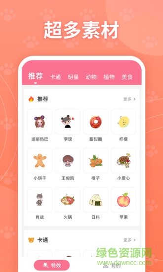 ����������Ч